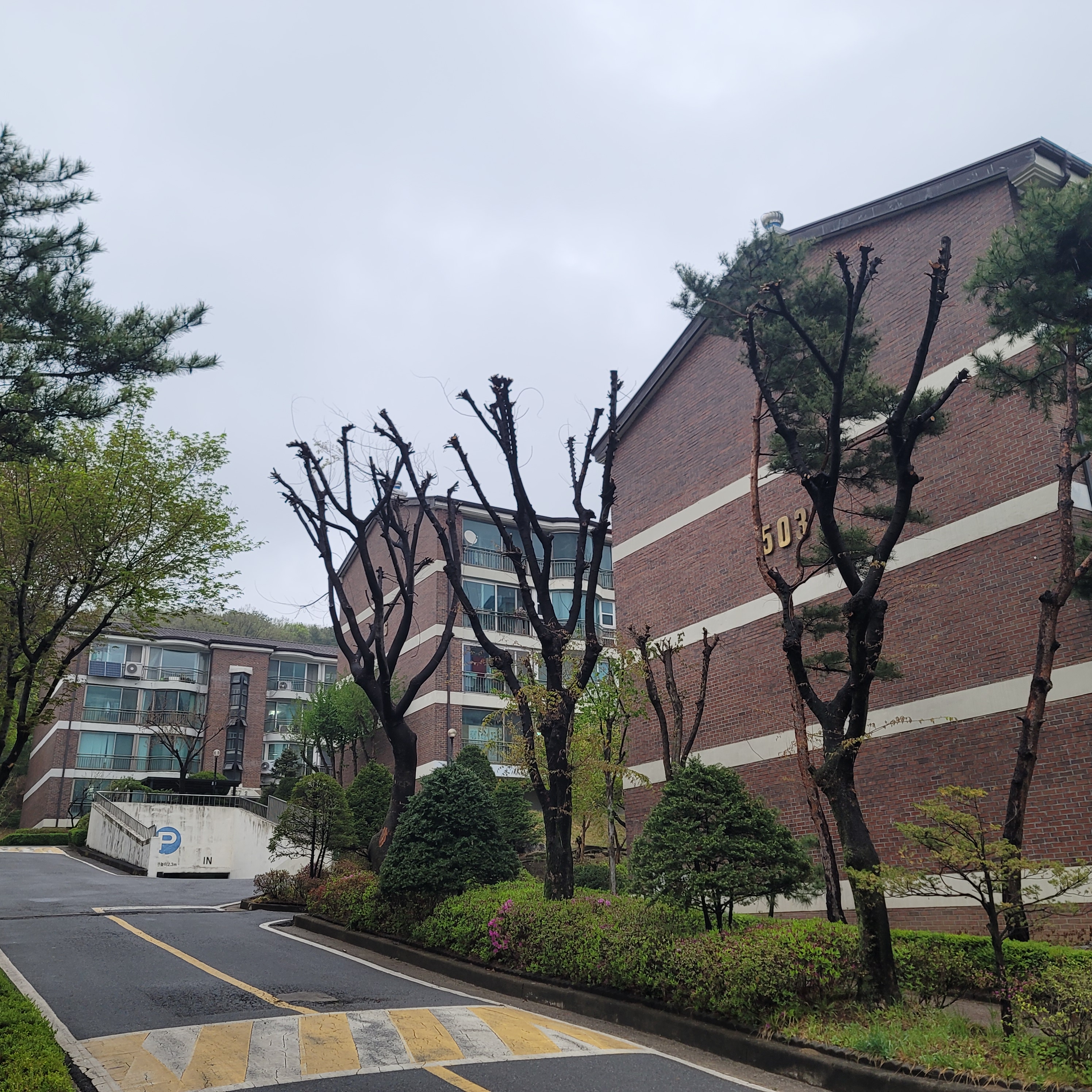 N5jRDtmr1I__20230405174041.jpg