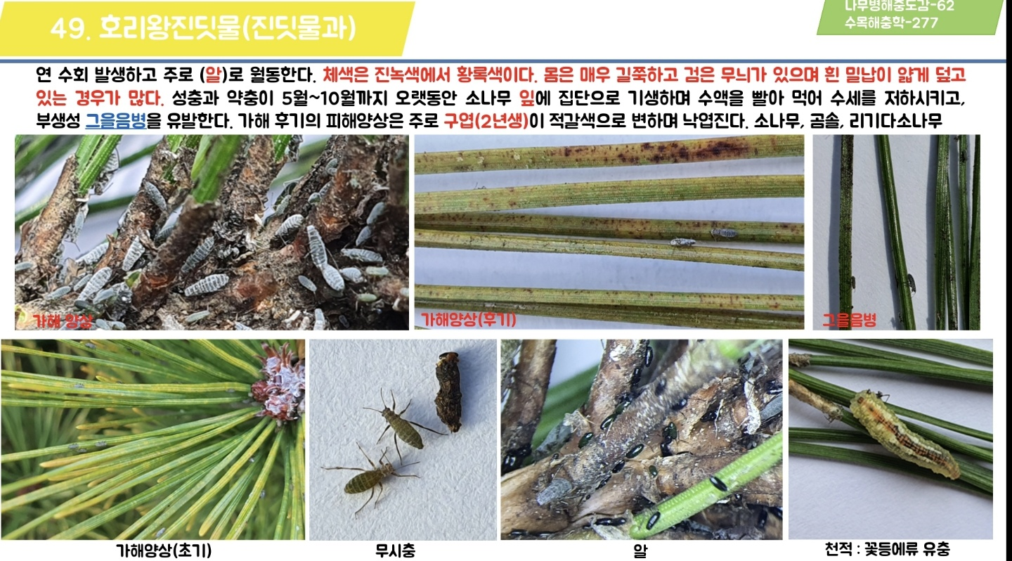 v13fbg5Dvb__20211101193820.png